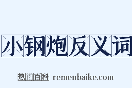 小钢炮反义词是什么意思的图片